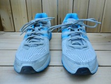 Nike Pegasus 29 Blue / Silver