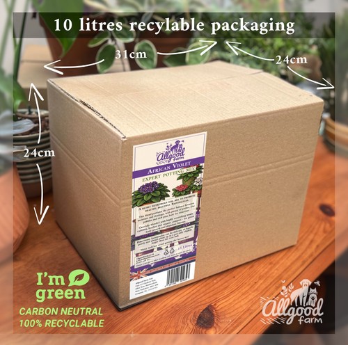 African violet expert - violet,
