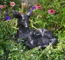 Large Doe and Baby Fawn Laying