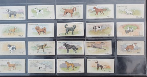 Copes dogs the world - 'dogs,