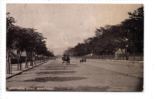 Northesk road montrose angus - northesk, road,