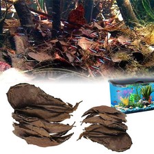 100X Leaf Aquarium