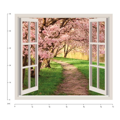Cherry blossom trees - blossom, window