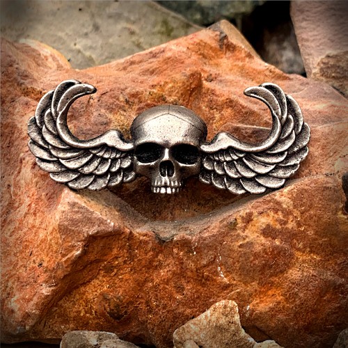 Airborne winged skull - skull, metal