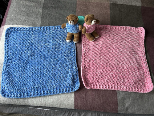Twin carseat blankets and
