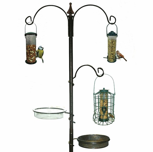 Garden wild bird feeding - wild,