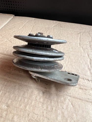 Hayter harrier - harrier, 41