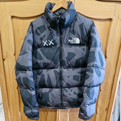 Kaws the north face 1996 - x,