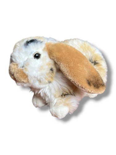 Living nature dutch lop - living,