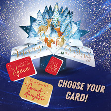 Woodland Animals Pop Up Christmas Greeting Card Choice Of Cards Family & Friends