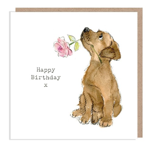 Labrador puppy with flower - labrador,