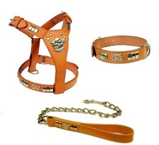  STAFFY STAFFORDSHIRE BULL