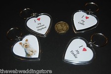 I Love My Collie - Yorkie -