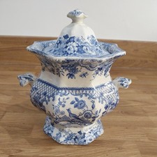 Rare Davenport Nightingale