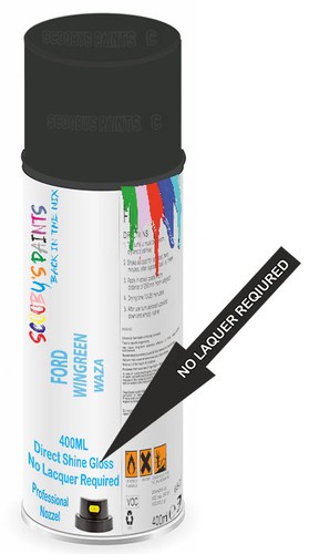 Paint for ford wingreen - paint,