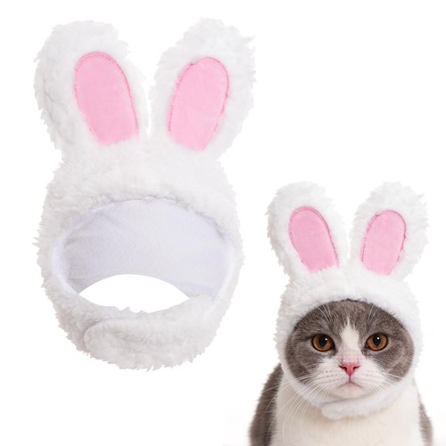 Bunny rabbit hat - rabbit, with