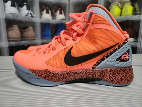 Nike zoom hyperdunk 2011 blake - zoom,