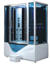 Steam shower wellness shower