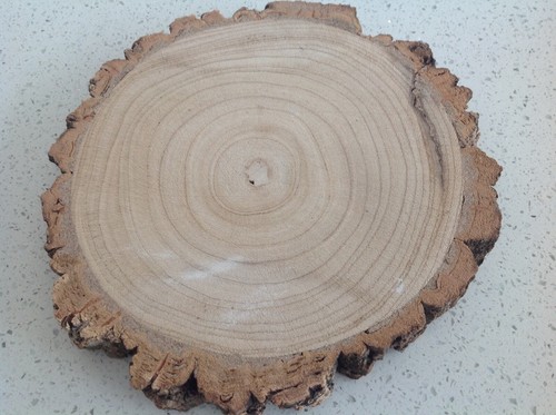 Natural wood log - natural, slice