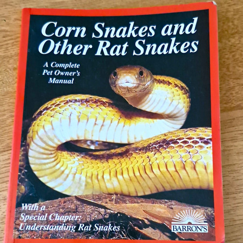 Barron corn snakes - and, other