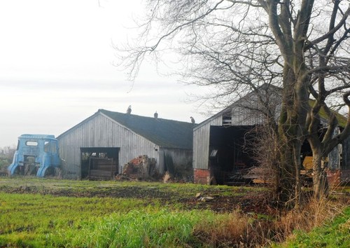 Photo agricultural - photo, a2