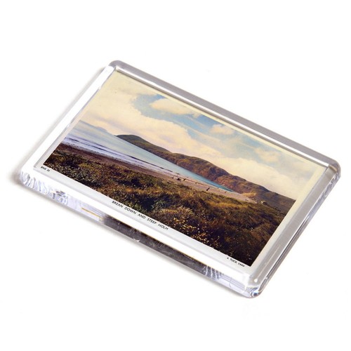 Fridge magnet vintage - fridge,