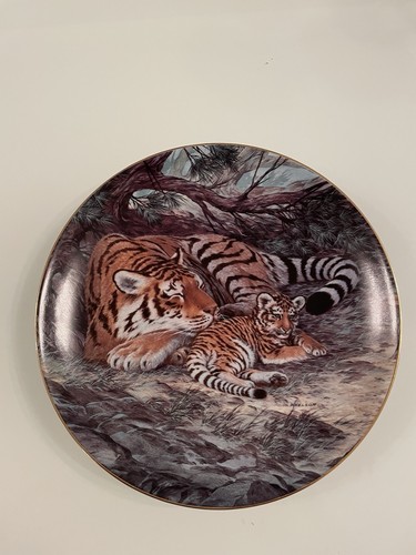 George plate siberian - george, tiger
