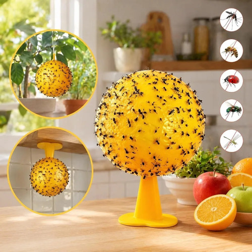 Fruit fly balls ball - balls,