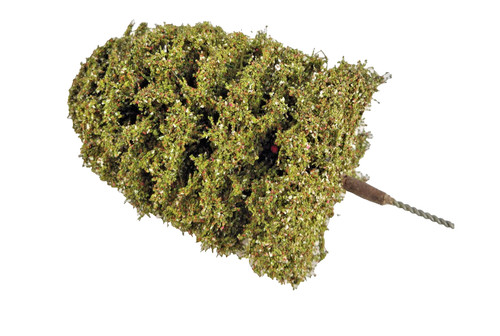 Single miniature flowering - miniature,