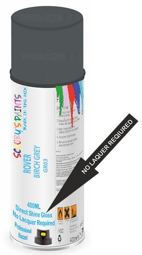 Direct shine paint spray - paint,