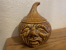 Vintage Pickled Onion Facepot