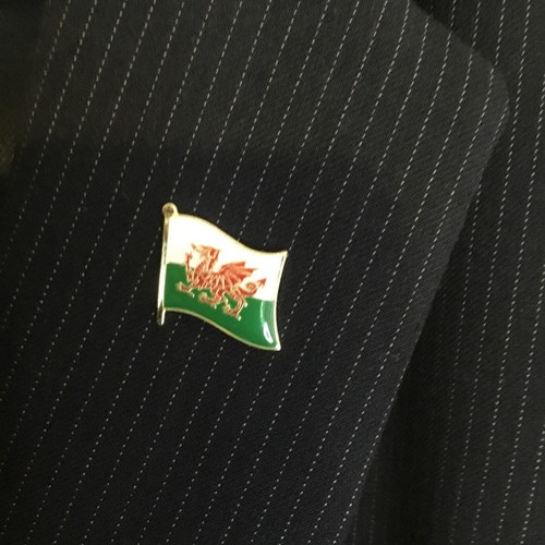 Wales welsh flag pin badge - wales, st