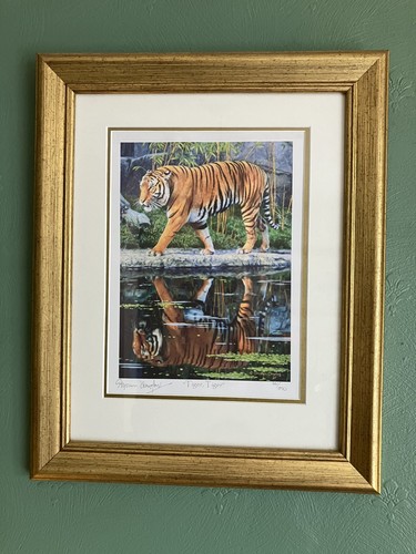 Stephen gayford ltd framed - gayford, ed