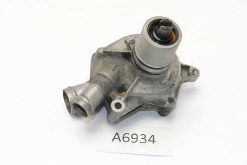 Honda 600 pc21 - 600, shadow