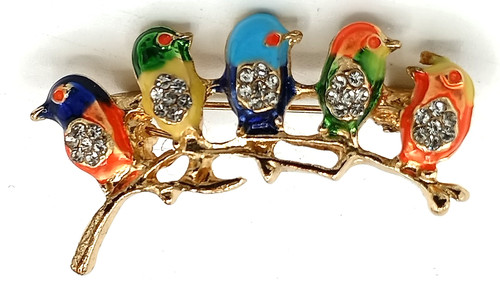 Five little colourful birds - birds, on
