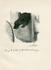 COCKER SPANIEL AT A CARRIAGE WINDOW ANTIQUE  1912 DOG ART PRINT by MAUD EARL