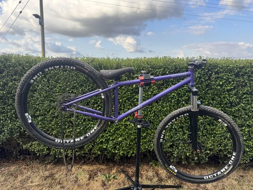 Dartmoor quinnie dirt jump - quinnie,