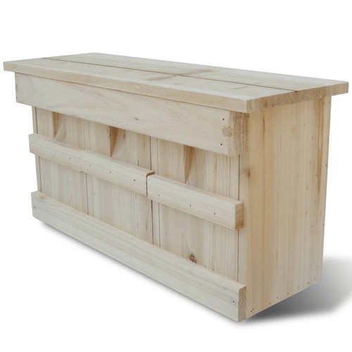 Sparrow nesting box - nesting,