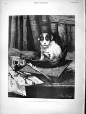 Original Old Antique Print