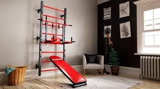 Used Wall Bars Pull Up Dip Bar