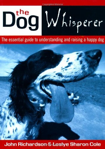 The dog whisperer - dog,