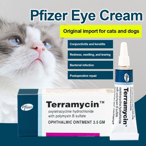 New pet eye health - eye,