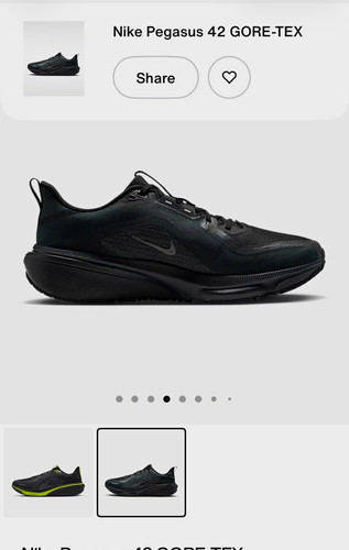 Nike pegasus gore - pegasus, 42