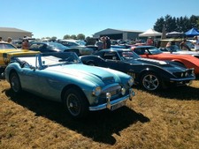 1959 Austin-Healey 3000