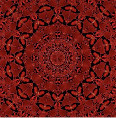 Damien hirst h10 - hirst, suiko