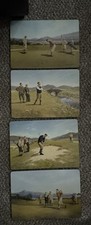 Alec macdonald golf - macdonald,