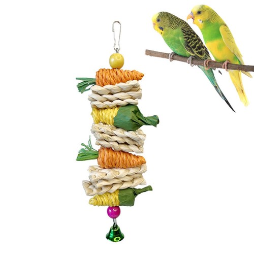 Cute bird chew - chew, climbing