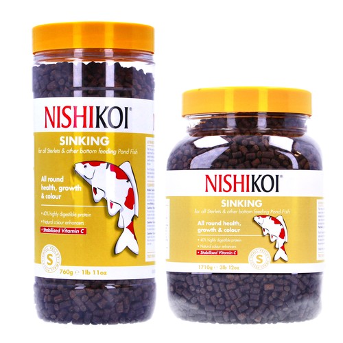 Nishikoi small sinking - nishikoi,