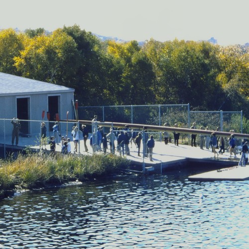 1974 rowing crew - rowing, team