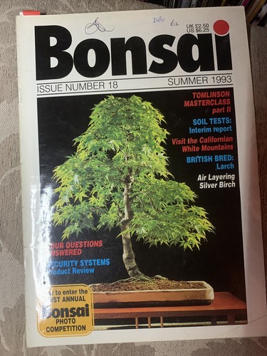 Bonsai no18 summer - summer, 1993